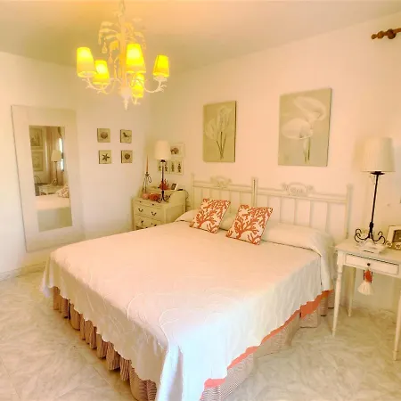 Spanish Connection - Puerto Latino